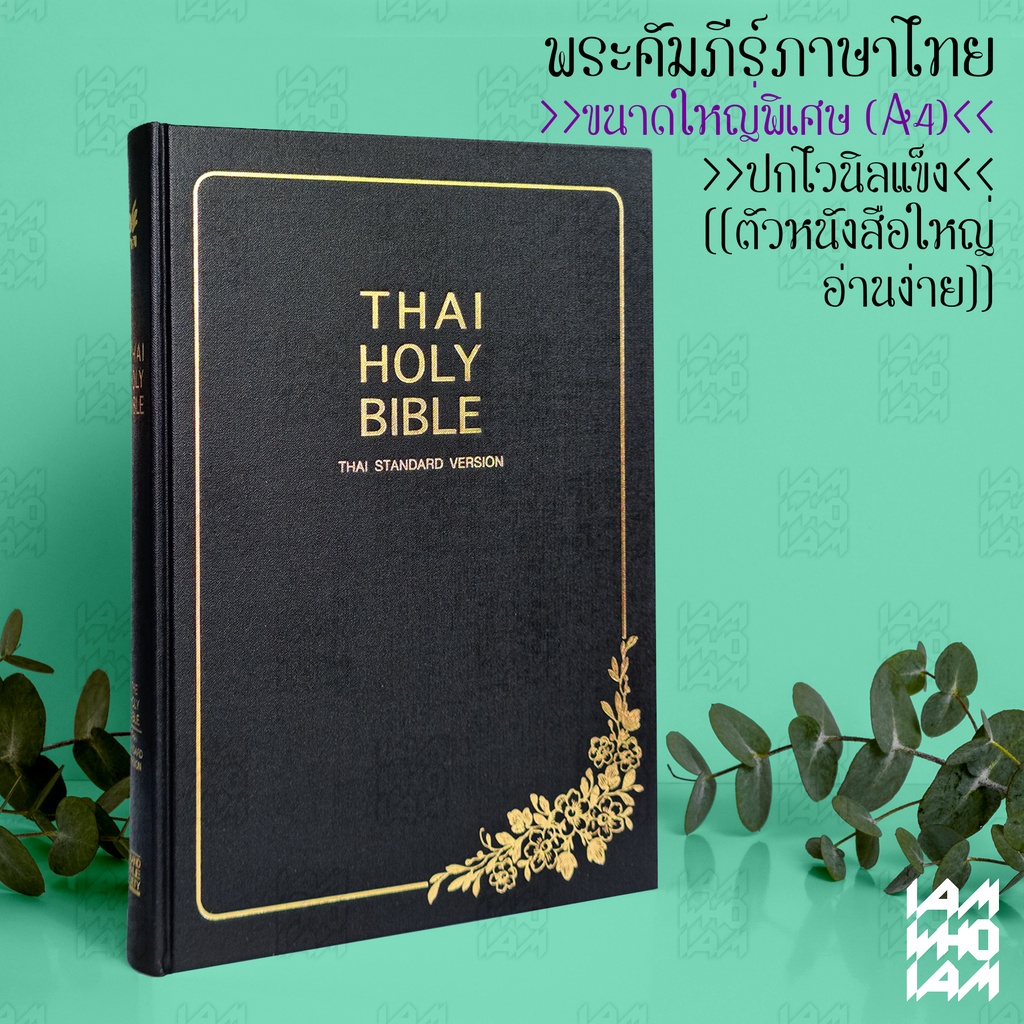 รายการ 98+ ภาพ คัมภีร์ ไบเบิล pdf ความละเอียด 2k, 4k