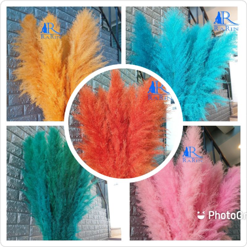 Rarin ดอกเลา ย้อมสี(หลากสี) 1ก้าน ‼️พร้อมส่ง‼️ขนาด 90-100 cm.ดอกรวมก้าน ดอกไม้ธรรมชาติ ดอกฟุ้งฟิ้ง ราคา ถูกที่สุด ดีลบีเคเค แกลเลอรีภาพที่ 8