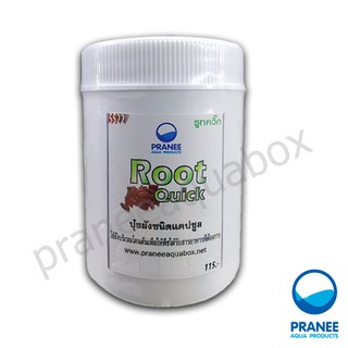 Root Quick ปุ๋ยไม้น้ำแบบฝังสำหรับต้นไม้น้ำ แบบแคปซูล