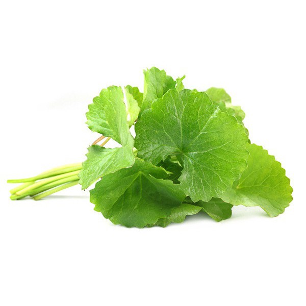 ผงใบบัวบก 50g  001070 วัตถุดิบเครื่องสำอางค์