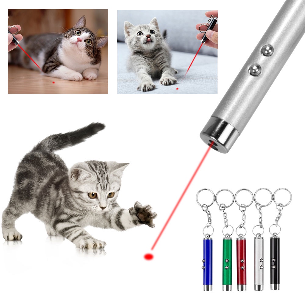 2 In 1 Mini Keychain Laser Pointer Interactive Red Light LED Torch ...