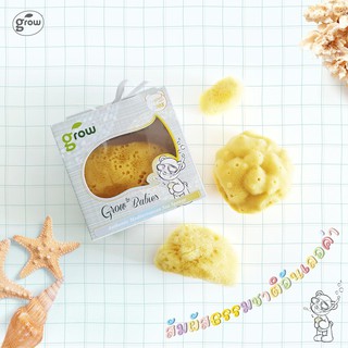 Grow Organic Silk Sea Spong ฟองน้ำ ฟองน้ำอาบน้ำ สำหรับเด็ก ธรรมชาติแบบนุ่มเนื้อละเอียดพิเศษ