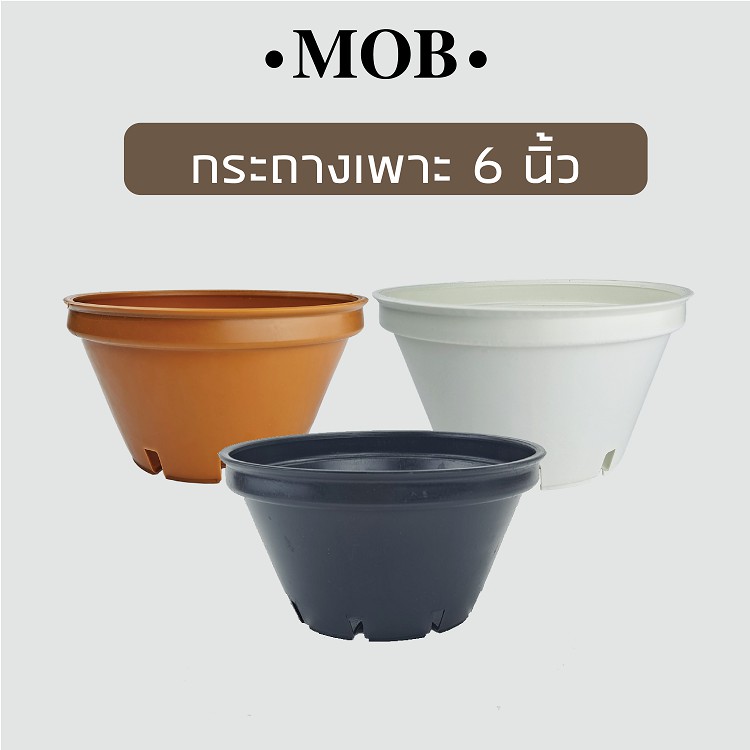 กระถางเพาะเมล็ด 6 นิ้ว กระถาง ทรงเตี้ย ปากกว้าง กระถางต้นไม้พลาสติก แคคตัส  ไม้อวบน้ำ