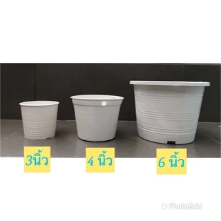 กระถางต้นไม้ กระถางพลาสติกขนาด 2 /2.5 / 3 / 4 / 6 /8 /10/12นิ้ว (ชุด10ใบ) (ราคาต่อ 1 ชุด)