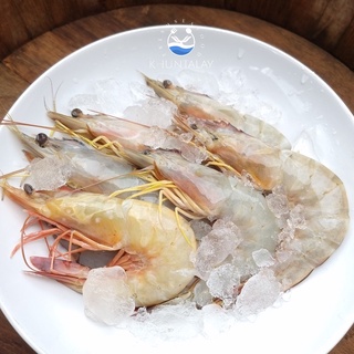 กุ้งแชบ๊วย 1 kg ขายปลีก/ส่ง อาหารทะเลสด