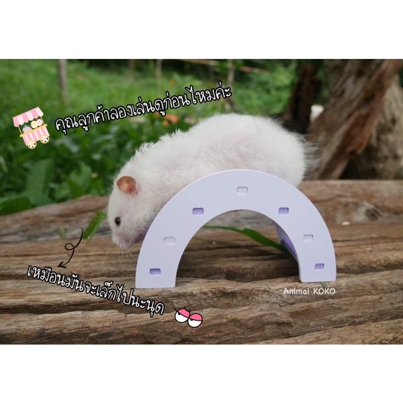 Animal KOKO สะพานโค้ง ขนาดกลาง ของ สัตว์เลี้ยง พร้อมจัดส่ง รูปที่ 5