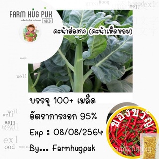 เมล็ดคะน้าเห็ดหอมพันธุ์ฮ่องกง 100 เมล็ด GPFM