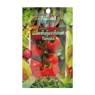 [พร้อมส่ง] HomeDoDee เมล็ดพันธุ์มะเขือเทศ กรีน การ์เด้น เมล็ด เมล็ดพันธุ์ เมล็ดพันธุ์พืช