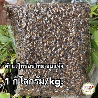 ดักแด้ หรือ หนอนไหม 1 กิโลกรัม/kg. Dried Silkworm Pupae