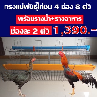 กรงตับไก่ไข่ 4ช่อง จุช่องละ2ตัวเลี้ยงได้8ตัวต่อชุดพร้อมอุปกรณ์รางน้ำ+รางอาหาร