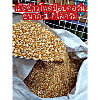 ✅✅ราคาส่ง✅✅ POPCORN เมล็ดข้าวโพดป๊อปคอร์น พันธุ์ผีเสื้อ เม็ดป๊อบคอร์น เม็ดข้าวโพด ขนาด 1 กิโลกรัม เมล็ดป๊อบคอร์น