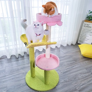 MASTI  ส่งจากไทย!!  Cat Climbing Frame  คอนโดแมว สัตว์เลี้ยงขนาดเล็กบรรเทาความเครียดของเล่น Cat Claw Grinding Toy กรอบปีนแมว ของเล่นสำหรับน้องแมว LI0407