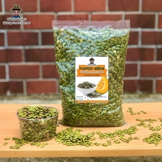 เมล็ดฟักทองดิบ เมล็ดฟักทองอบ รสธรรมชาติ ไม่ใส่เกลือ 1 Kg.(Pumpkin Seeds)