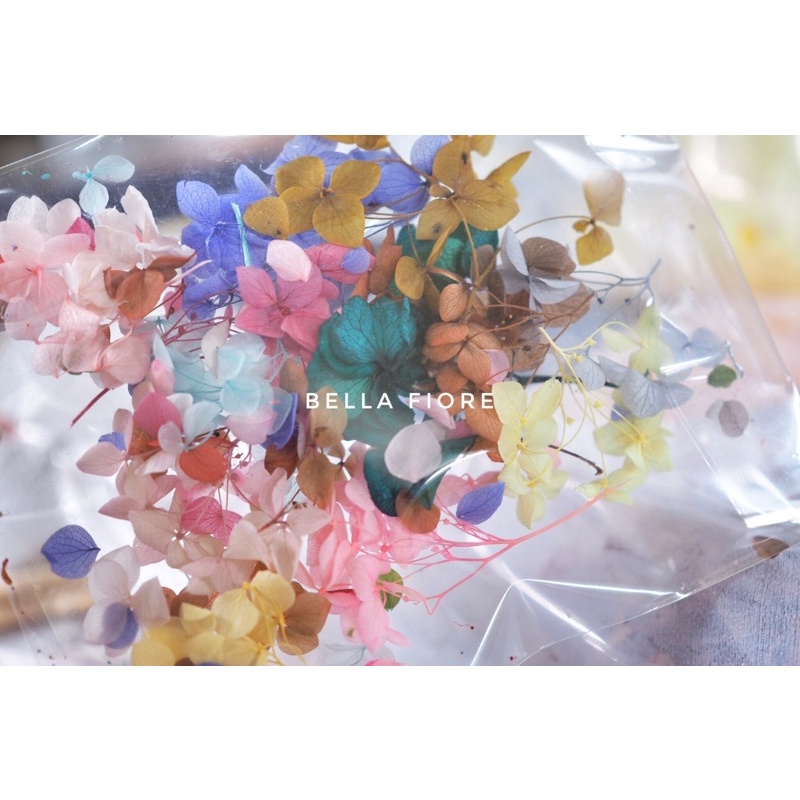 กลีบไฮเดรนเยียคละสีซองละ 35 บาท