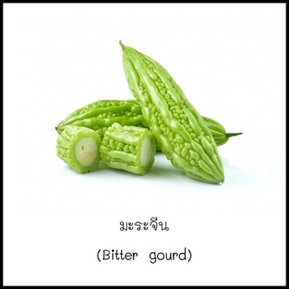 เมล็ดมะระจีน (Bitter gourd) 10 เมล็ด [10 แถม 1 คละได้]