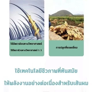 ของแท้100%🌱 500 ML บํารุงผม แชมพูแก้ผมร่วง แชมพูขิงเพียว บำรุงหนังศรีษะ 🌱