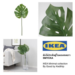 🔥SALE🔥ใบไม้ประดิษฐ์มอนสเตอรา IKEA SMYCKA