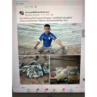 เหยื่อพร้อมตก ชุดเหยื่อตกปลาพร้อมตก #เหยื่อโก๋เจ้าพระยา