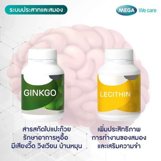 Ginkgo+LecithinบำรุงสมองMega