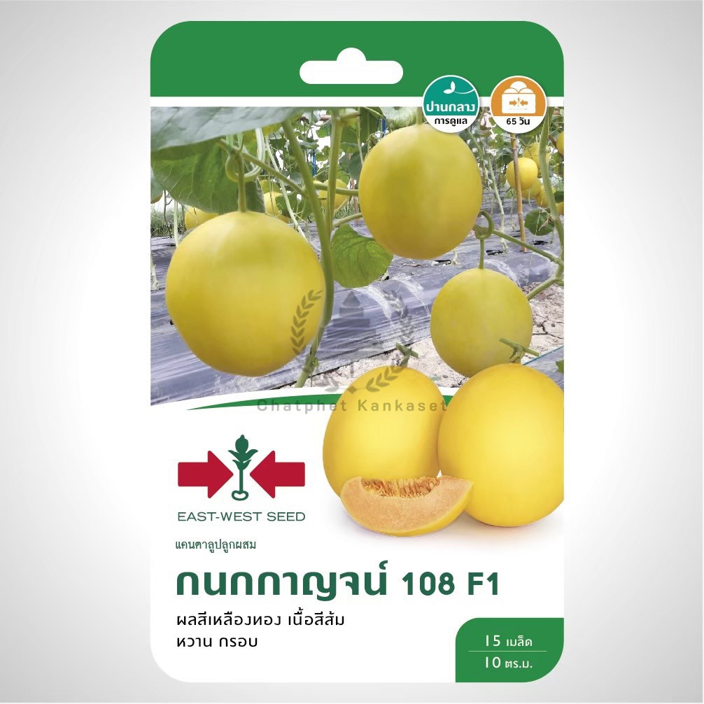 เมล็ดพันธ์ุ แคนตาลูป กนกกาญจน์ 108 บรรจุ 15 เมล็ด/ซอง ตราศรแดง