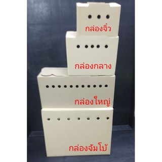 **กรุณาอ่านขนาดก่อนกดสั่ง** แพ็ค 5 ใบ  กล่องกระดาษสำหรับใส่กระต่าย กล่องใส่นก กล่องใส่หนูแฮมสเตอร์  กล่องใส่กระต่าย