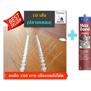 Bird spike หนามกันนก ฐาน Poly 80 กิ่งต่อเมตร ➡️​ปลายแหลม​⬅️​ 10 เส้น แถมกาวตะปู 1 หลอด