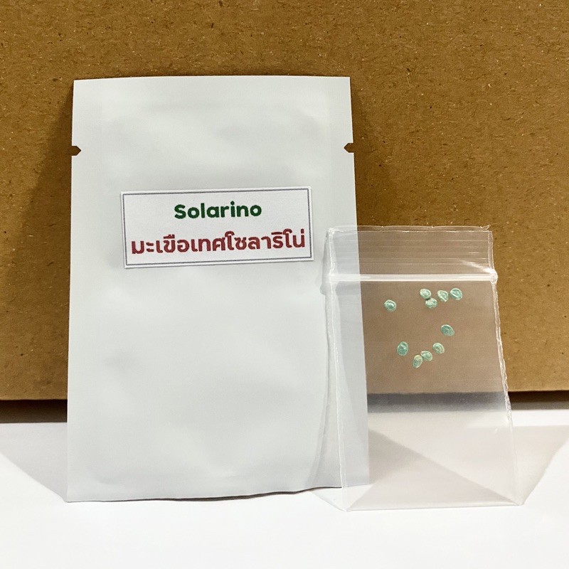 เมล็ดพันธุ์มะเขือเทศ โซลาริโน่ Solarino จำนวน 10 เมล็ด ทานสด เมล็ดของแท้ - รูปที่ 7