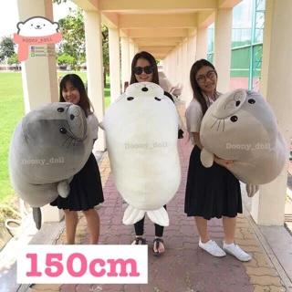 📍150cm ใหญ่มาก!!!📍ตุ๊กตาแมวน้ำอุ๋งๆ 150cm (45นิ้ว) วิธีวัดดูในวีดีโอจ้า