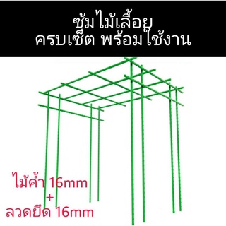 อุโมงค์ต้นไม้ ซุ้มต้นไม้ รั้วไม้เลื้อย จัดสวน เสาไม้เลื้อย หลักไม้เลื้อย ซุ้มปลูกผัก มะเขือเทศ แตงกวาญี่ปุ่น ยางอินเดีย