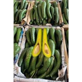 พร้อมส่ง‼️(1KG) อโวคาโด้ แก่จัด avocado🥑 แฮส hass TA21 034 แฮส บูท7 บัคคาเนีย