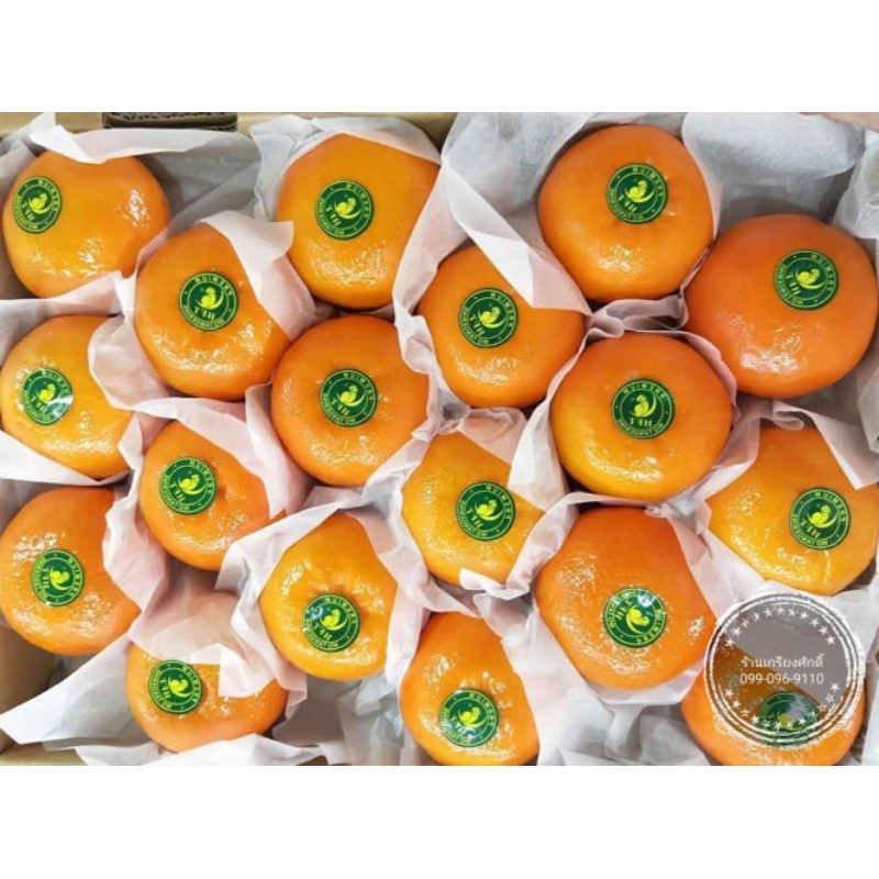 ส้มไต้หวัน ตรานกแก้ว หวาน อร่อย 6 กก./ลัง WO Tangerine (M)​