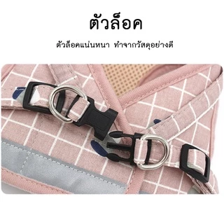 AL-121 เสื้อรัดอก เสื้อหมา เสื้อแมว สายจูงหมา สุนัข สายจูงแมว สายจูงสัตว์เลี้ยง ลายตาราง 🔥 พร้อมส่ง 🔥