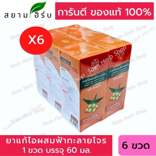 ยกแพ็ค 6 ขวด ยาน้ำแก้ไอผสมฟ้าทะลายโจร แบรนด์การบูร ขนาด 60 มล. [Karaboon] พร้อมส่ง