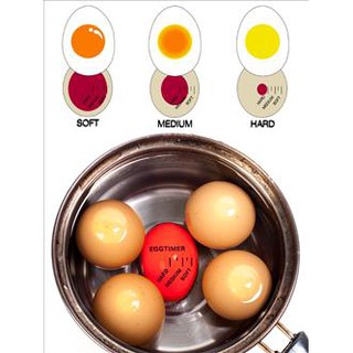 ไข่เปลี่ยนสีวัดอุณหภูมิ 3.8 x 5.5 ซม.