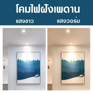 IWACHI โคมฝังฝ้า โคม LED ทรงกลม รุ่น PN แสงขาว และ แสงวอร์มไวท์