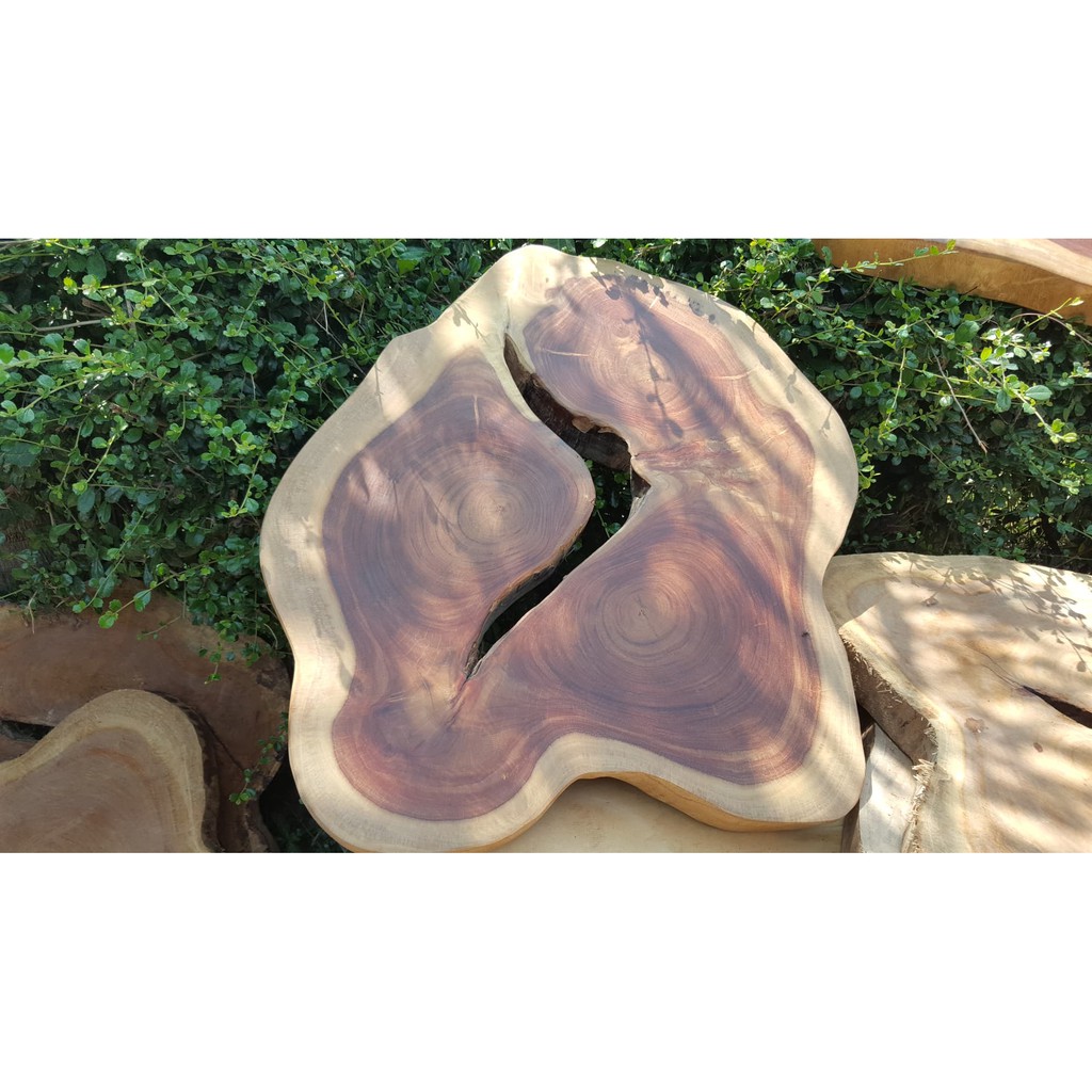 Pradoo'Siam แผ่นไม้  ทรงโคลนต้น ขนาด 50cm - 65cm หนา 5cm ขัดลงสีพร้อมใช้งาน