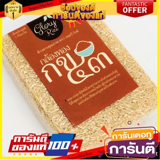 ข้าวกล้องทอง กข 43 ตรา Glory Rice