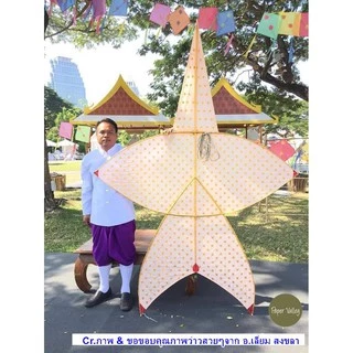 Paper Valley กระดาษสาสุโขทัย แผ่นใหญ่ 64x94 ซม. | กระดาษว่าว กระดาษสา แฮนด์เมด DIY