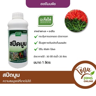 สปีดบูม ขนาด 1 ลิตร เจียไต๋ ฮอร์โมนพืช สาหร่ายทะเล อะมิโน เปิดตาดอก กระตุ้นการแตกยอด