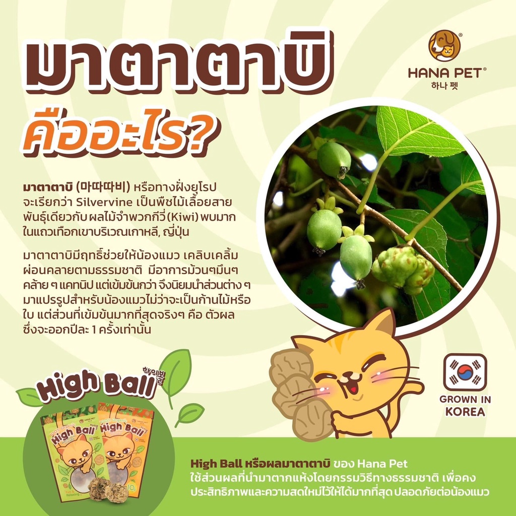 มาตาตาบิ  ผลมาตาตาบิ แบรนด์  Hana Pet