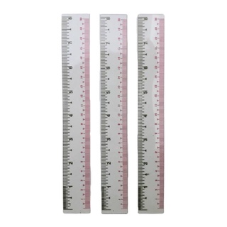 ไม้บรรทัดยาว 20 ซม. x 24 ชิ้น101360Ruler 20 cm x 24 pcs