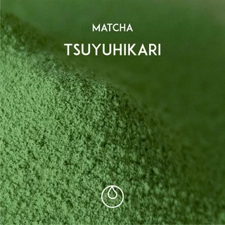 " Tsuyuhikari " Ryn Matcha Ceremonial Grade - Single Cultivar [ 30G / 50G / 100G ]