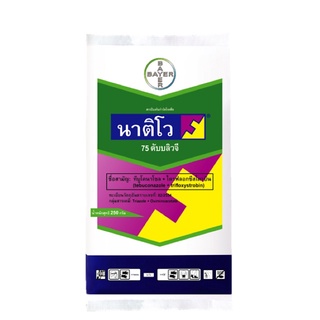 นาติโว® 75 ดับบลิวจี 250 กรัม800