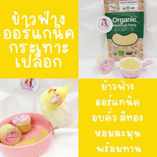 ข้าวฟ่างออร์แกนิค กระเทาะเปลือก อบสุกสำหรับนกขนาดเล็ก หลอดจิ๋วทดลอง50g