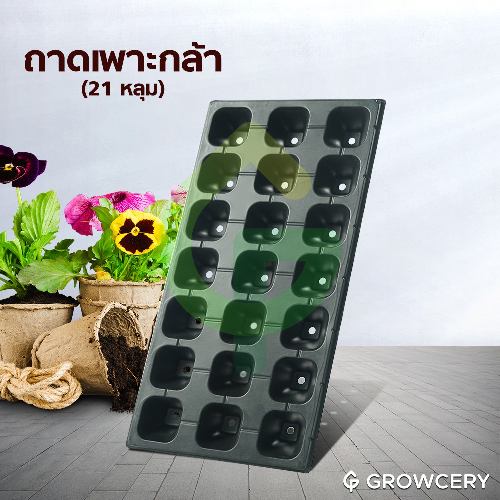 [G] ถาดเพาะกล้า ถาดหลุม ถาดเพาะ จำนวน 21 หลุม (หนา 0.6 มม.) โดย GROWCERY