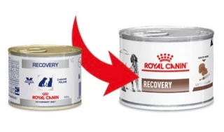 Royal Canin Recovery can 195g อาหารกระป๋องสำหรับสุนัขและแมวป่วย พักฟื้นหลังผ่าตัด