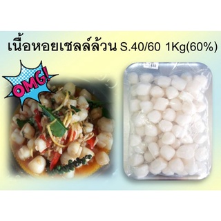 ✅เนื้อหอยเชลล์ล้วน40/60 (ขนาด​52-79ตัว/kg) (NW60%) จะนำไปผัดกระเพราะ/ผัดฉ่า/ผัดเผ็ดอร่อยทุกเมนูเลยค่ะ