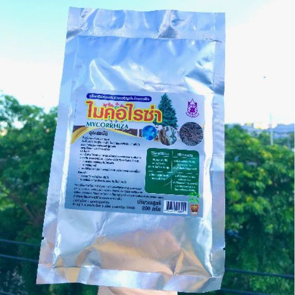 ไมคอร์ไรซ่า Mycorrhiza 200กรัม เชื้อราไมคอไรซ่า จุลินทรีย์เชื้อราชีวภาพกระตุ้นพืชโตเร็ว ราคา ถูกที่สุด ดีลบีเคเค แกลเลอรีภาพที่ 2