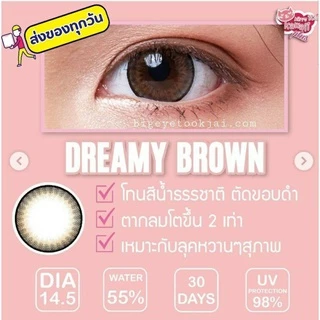 💖 Kitty kawaii ๑ Dreamy big ( 14.5 ) สายตา -00 ถึง -1000 brown gray Contactlens บิ๊กอาย คอนแทคเลนส์ ราคาถูก ฟรีตลับ.