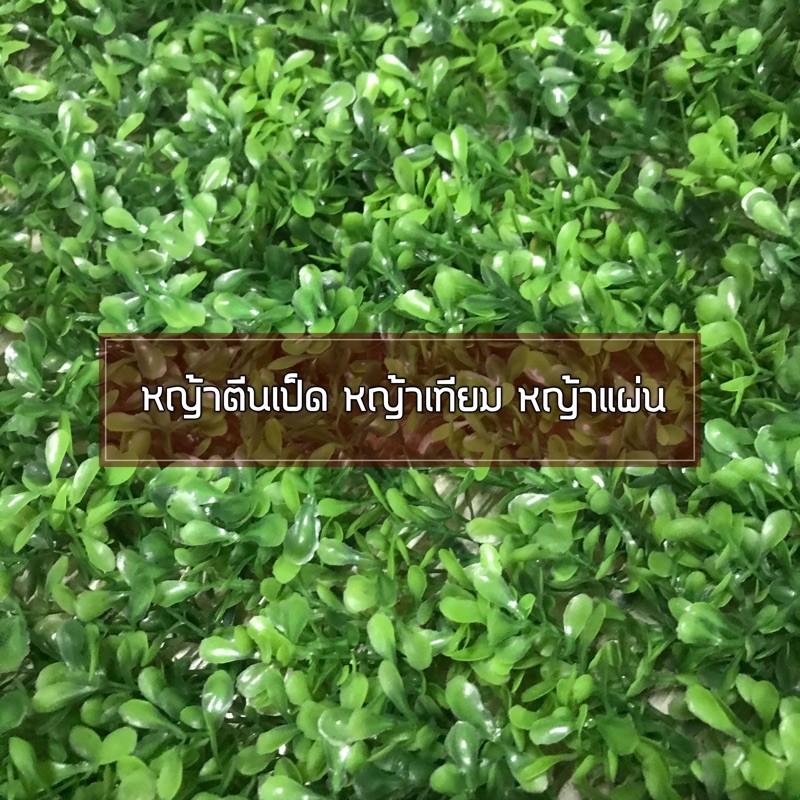 🍀พร้อมส่ง🍀หญ้าตีนเป็ด เนื้อหนาขนาด 40*60 ซม. หญ้าเทียม หญ้าแผงพลาสติก ตีนเป็ด ตกแต่งบ้าน พร๊อพถ่ายรู